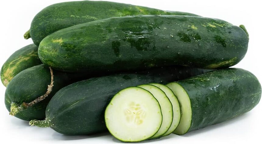 FDA Updates on Salmonella Outbreaks Possibly Linked to Cucumbers